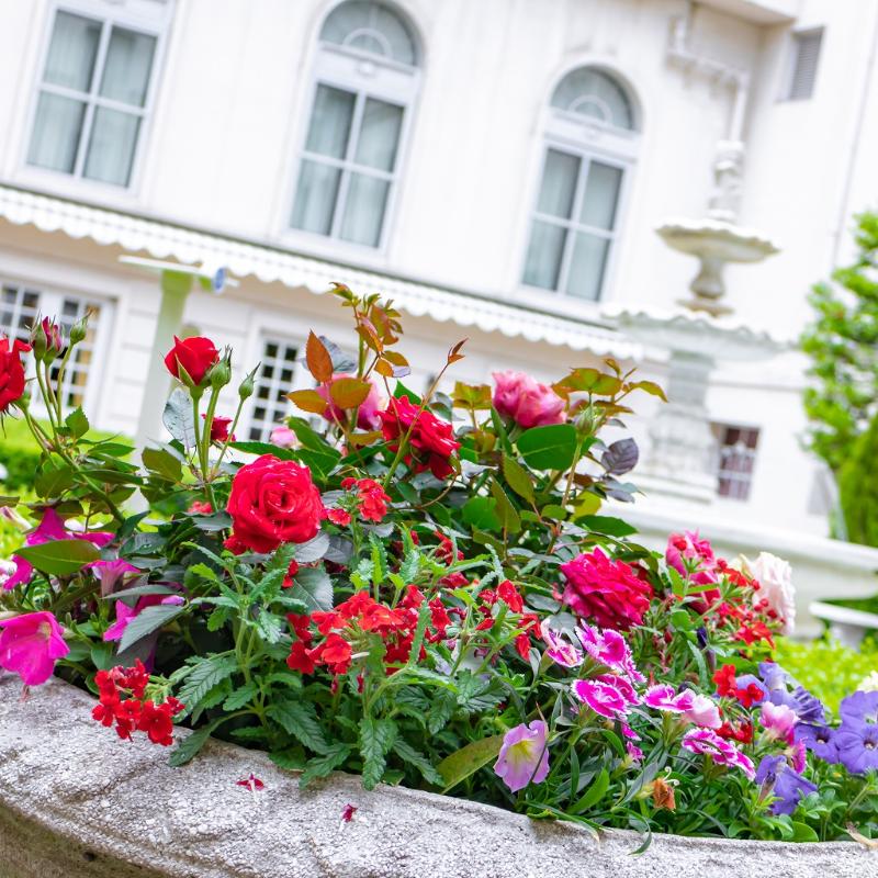 ロビーラウンジ　ラ・テラス／ホテルニューグランドの薔薇のアフタヌーンティーのあとがき3画像