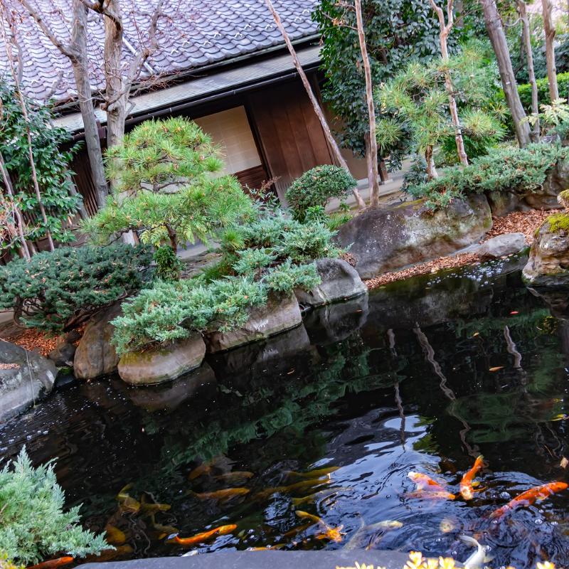 川口の旧田中家住宅を探検その２の画像