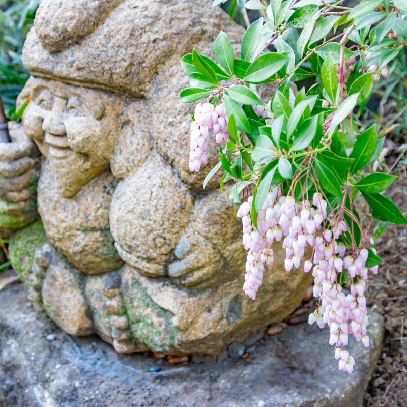 ロビーラウンジ ル・ジャルダン／ホテル椿山荘東京の桜アフタヌーンティーのあとがき3画像