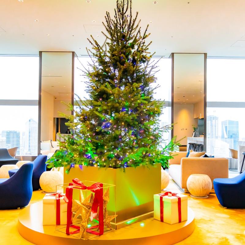 Sky Gallery Lounge Levita／ザ・プリンスギャラリー紀尾井町のHeartfelt Christmas Afternoon Teaのあとがき4画像