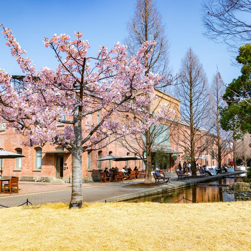 名古屋【ノリタケの森】探訪記｜光、緑、白い器、心満ちるひととき。の画像