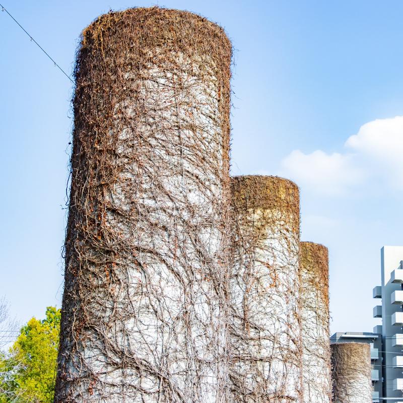 名古屋【ノリタケの森】探訪記｜光、緑、白い器、心満ちるひととき。の画像