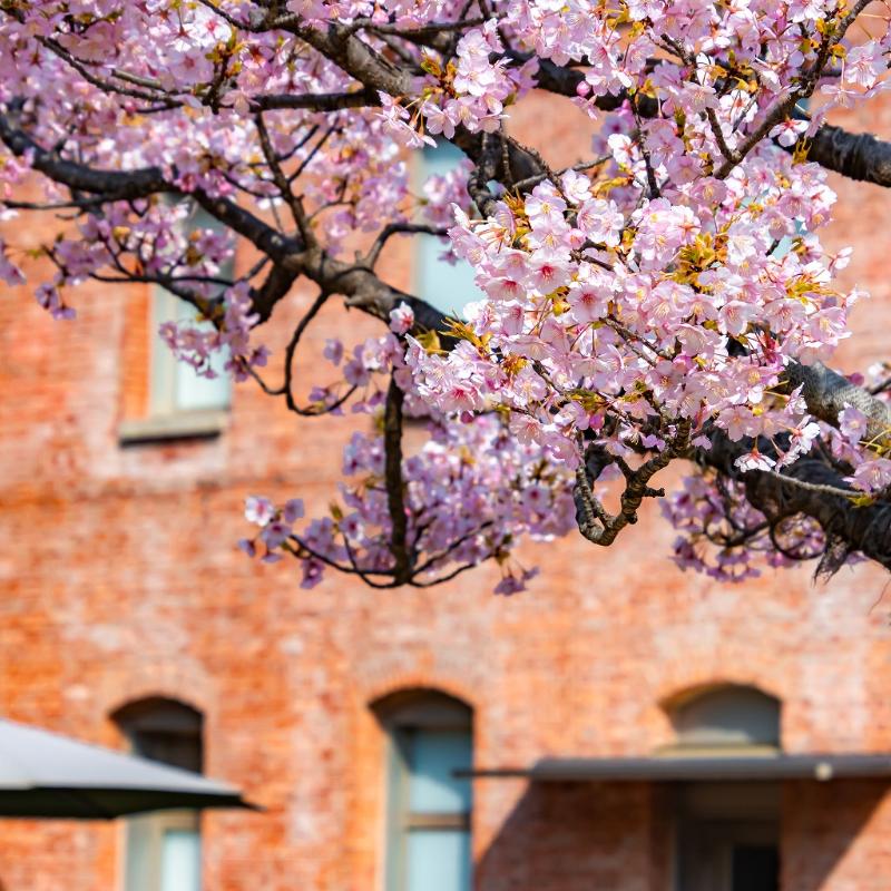 名古屋【ノリタケの森】探訪記｜光、緑、白い器、心満ちるひととき。の画像