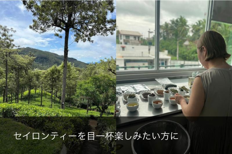 風舎 by FUSHATHÉ・株式会社N’s ティーカンパニー代表と行く紅茶香るスリランカツアー 2025年11月の画像1