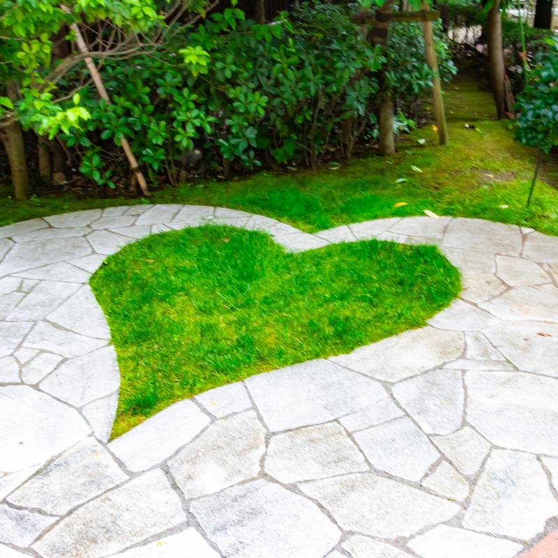 飯田橋のソンブルイユでランチコースを堪能の画像