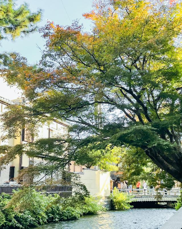 Jean-Georges at The Shinmonzen／The Shinmonzenの栗と柿のアフタヌーンティーのあとがき5画像