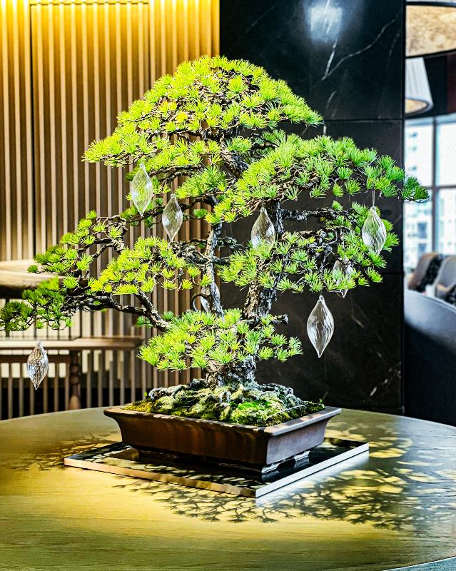 ジャヌ ラウンジ & ガーデンテラス／ジャヌ東京のクリスマスアフタヌーンティーのあとがき2画像