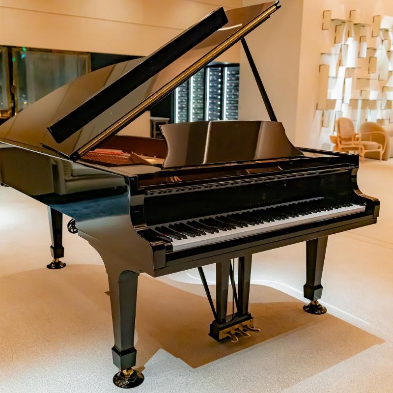 秘密の場所オルクドールサロン東京で新年会ディナーの画像