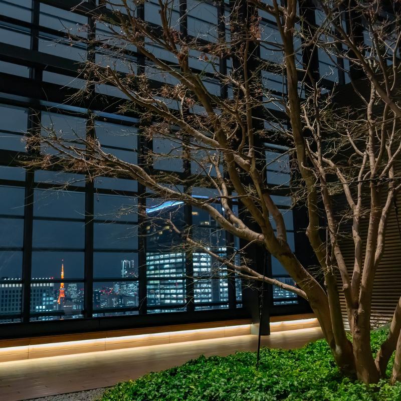 秘密の場所オルクドールサロン東京で新年会ディナーの画像