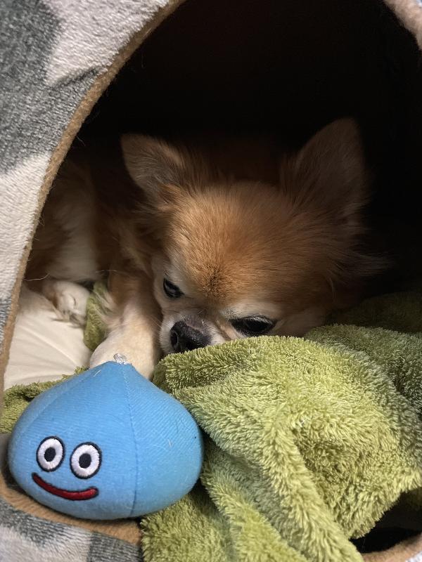 乙夜アイコン画像