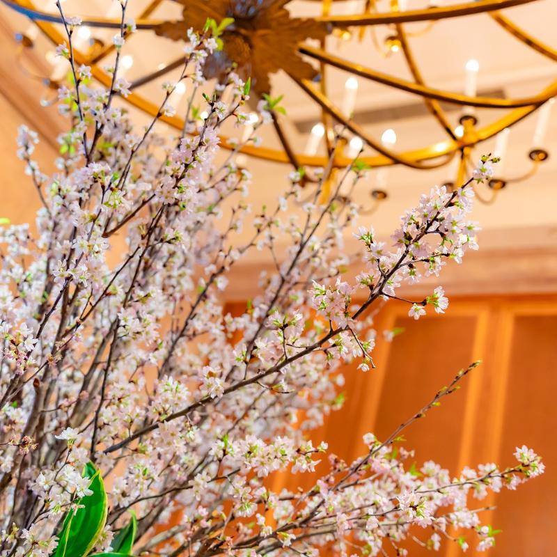 ロビーラウンジ　ラ・テラス／ホテルニューグランドの春のアフタヌーンティーのあとがき2画像