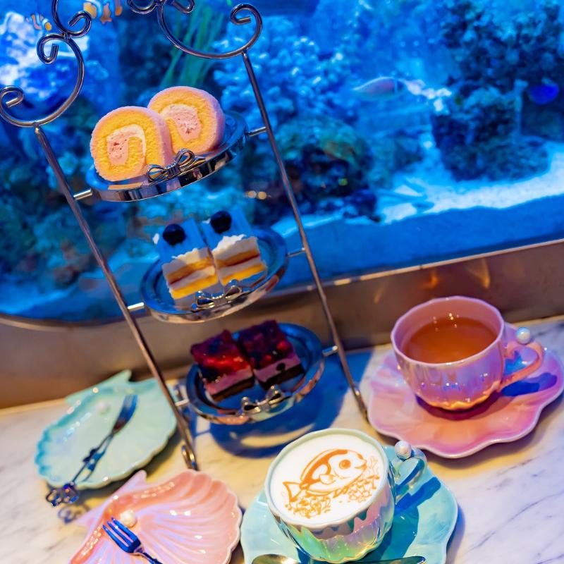 アクアリウムレストラン Nautilusでお祝いディナーの画像