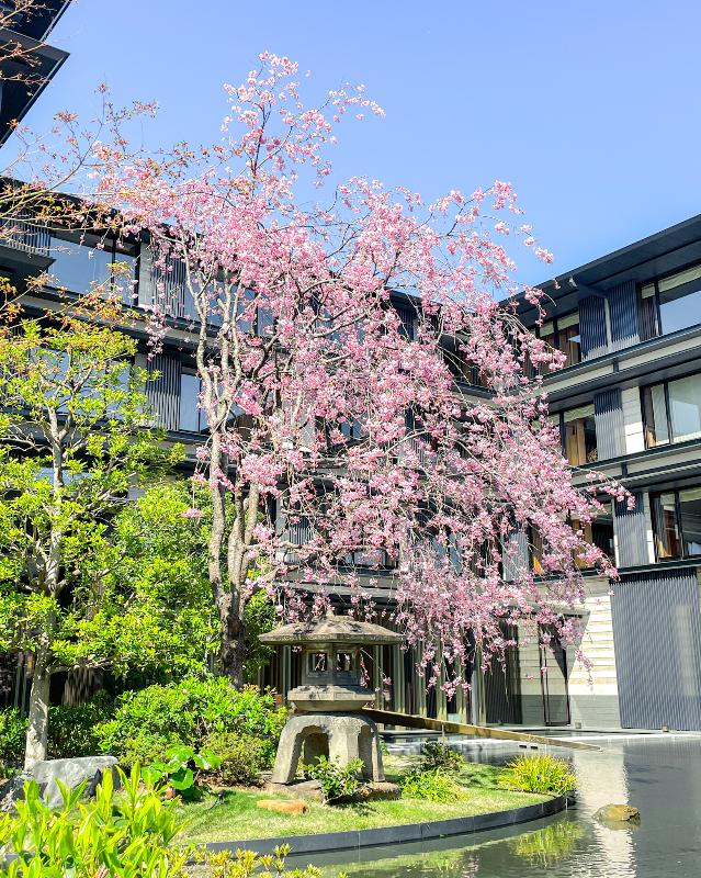 THE GARDEN BAR／HOTEL THE MITSUI KYOTOのSAKURAアフタヌーンティーのあとがき4画像