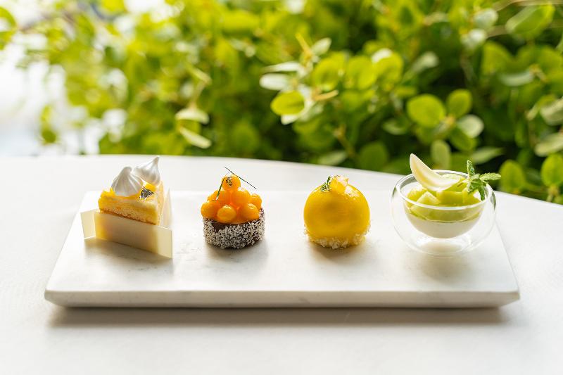 Early Summer Paletteの画像2