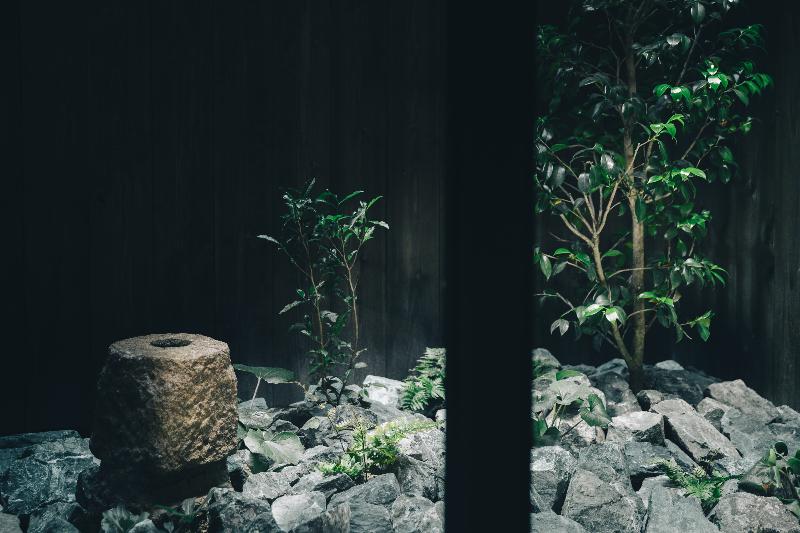 nōn tea ceremony 東山の画像3