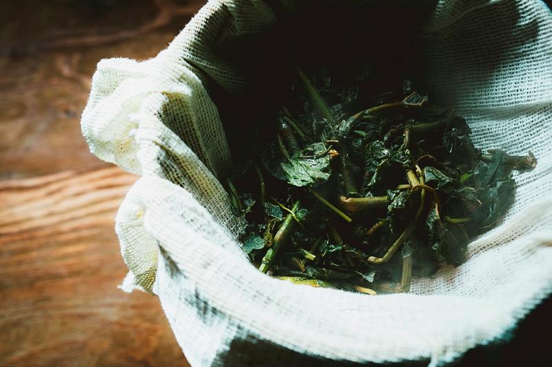 捨てられてしまうワイン用ブドウの葉から生まれた「北海道TEA」。試行を重ねさらに進化した2022年産を販売開始！の画像5
