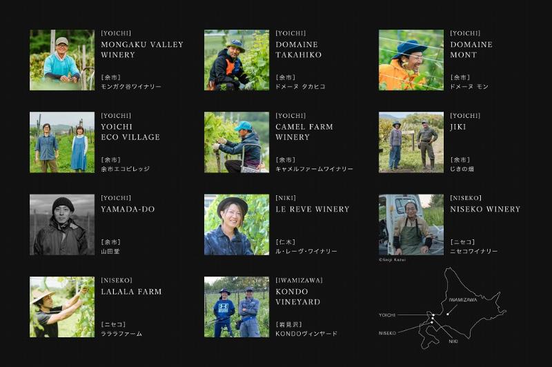 捨てられてしまうワイン用ブドウの葉から生まれた「北海道TEA」。試行を重ねさらに進化した2022年産を販売開始！の画像6