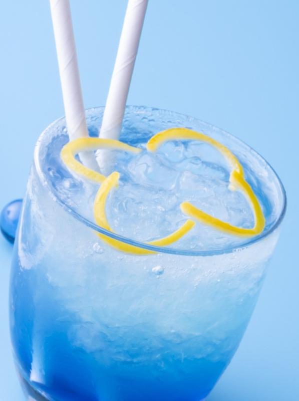 ハイアットリージェンシー京都×京都水族館「コラボレーション アフタヌーンティー」の画像6