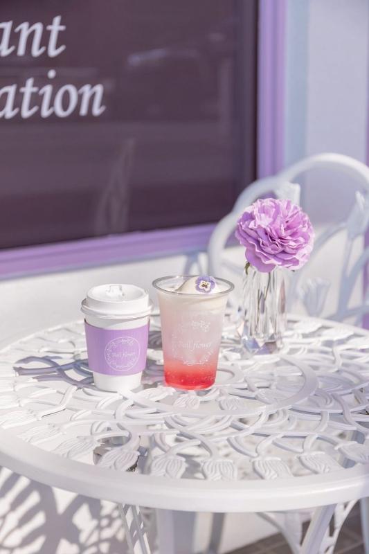 Bellflowerの画像6