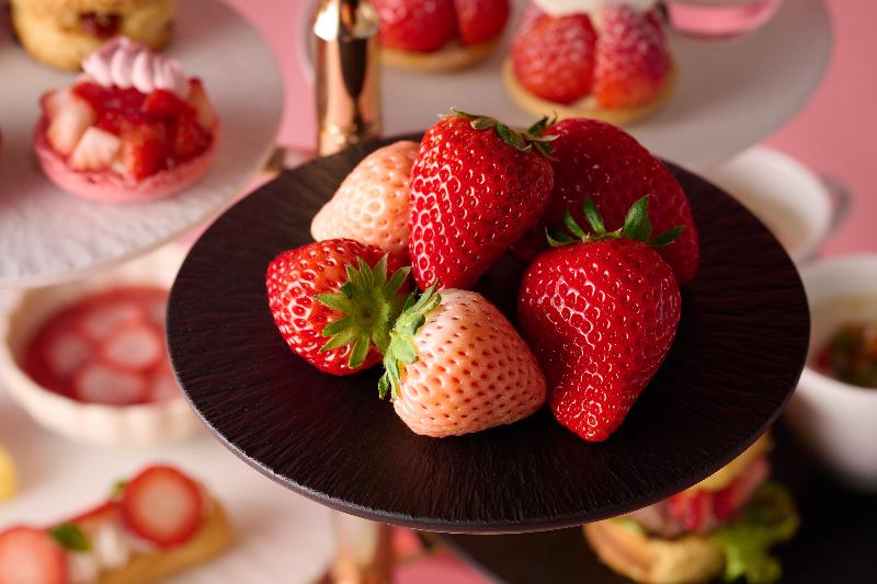 ストロベリーアフタヌーンティーの画像6