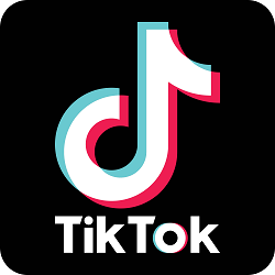 Tiktokアイコン